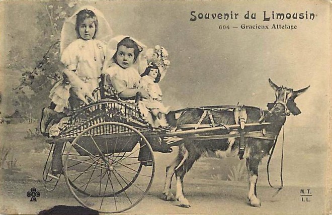 Souvenir du Limousin.jpg
