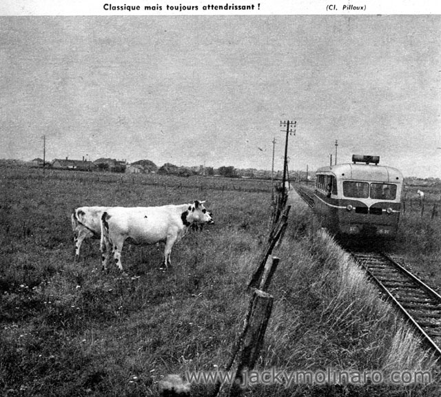 Baie de Somme 1958 photo 2.jpg