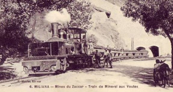 Zaccar-75-03.JPG