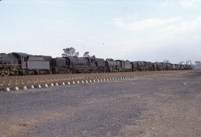4207 - Afrique du Sud - Entre De Aar et Kimberley - 7 sept 1981.jpg