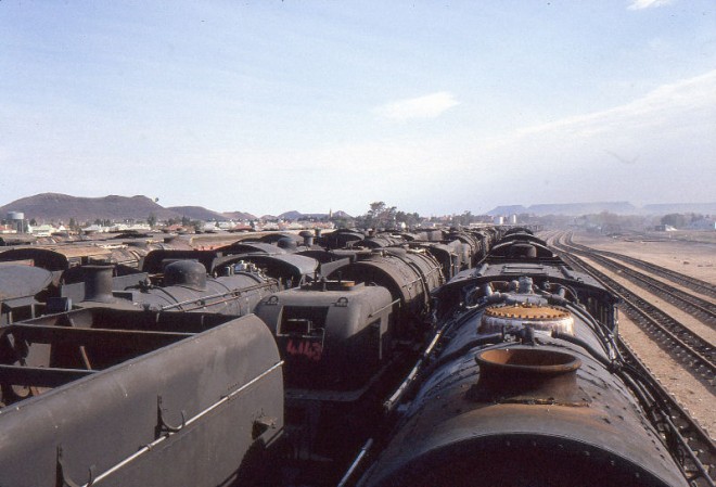 4210 - Afrique du Sud - Entre De Aar et Kimberley - 7 sept 1981.jpg