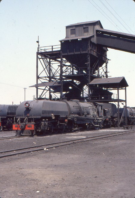 4325 - Zimbabwe - Bulawayo - Double 241 n° 716 Isiziba - Beyer-Peacock n° 7781, 1957 - 10 sept 1981.jpg