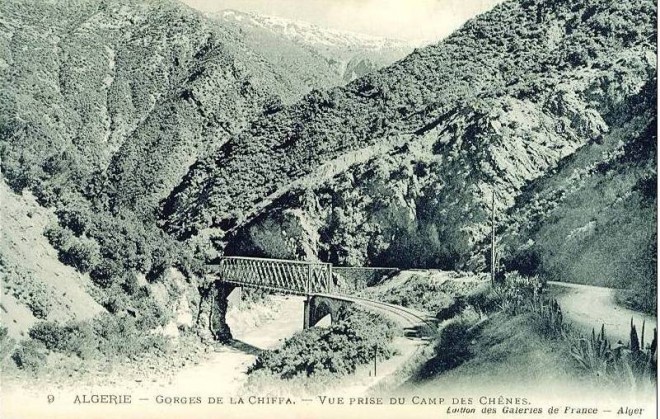 Gorges de la Chiffa.jpg