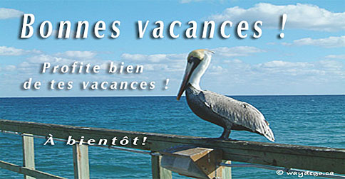 Pelican Vacances..jpg
