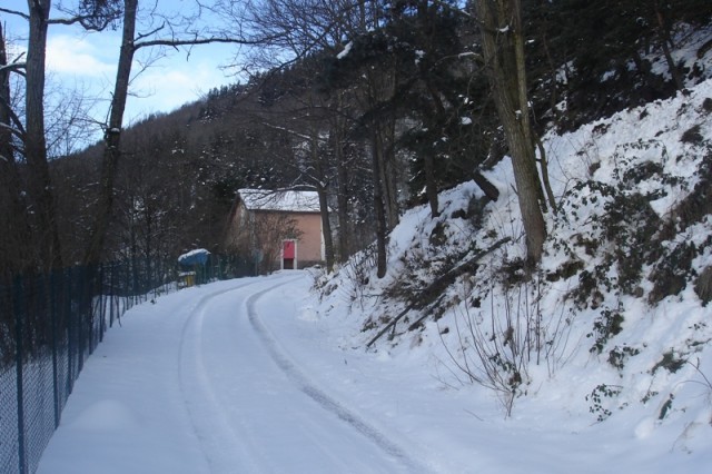 DSC04750m.JPG