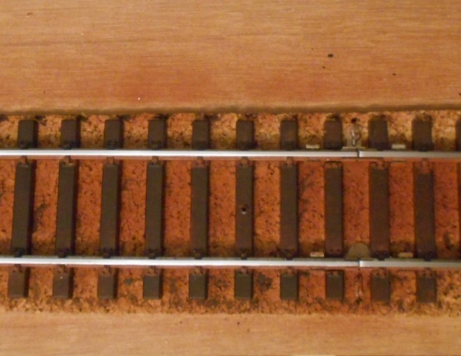 DSCN9772.JPG