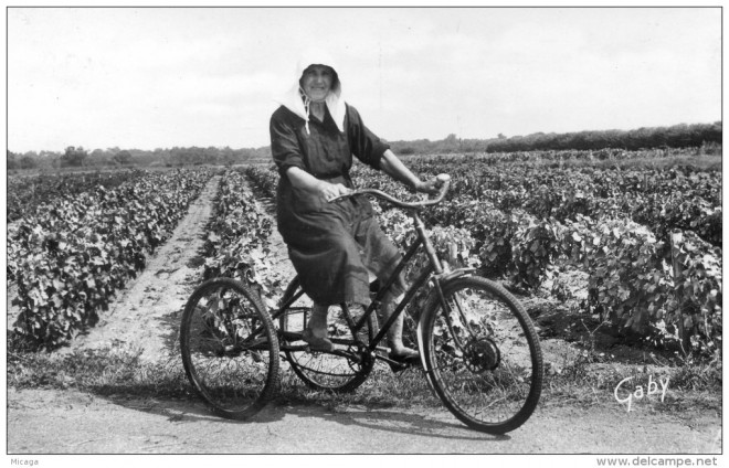 17 - Ile de Ré -I sé pas coume tché les parisiens y'avons pouete besoin de bagnole comme tcheu....jpg