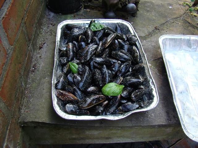 moules1.JPG