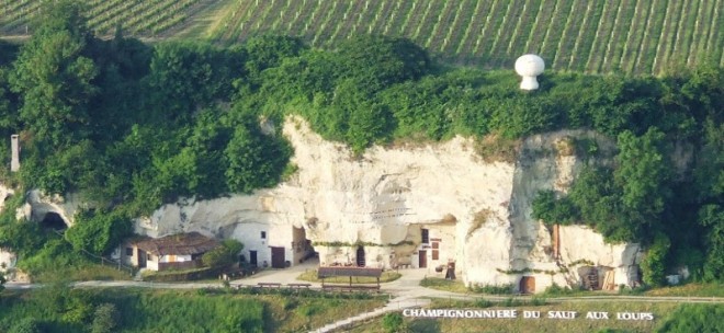 saut-loups-panorama-800-64440.jpg