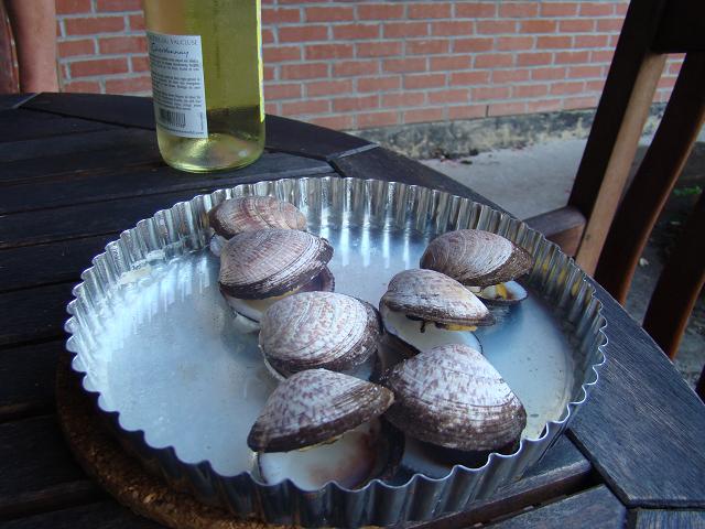 moules5.JPG