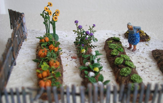 potager.JPG