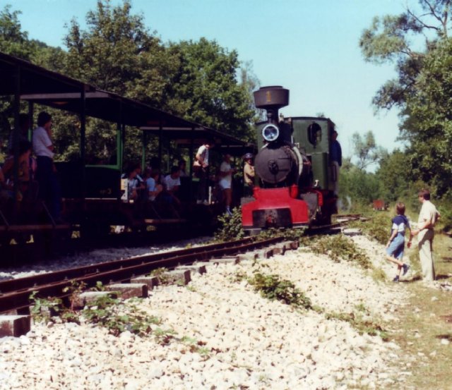 Cfvo0002.jpg