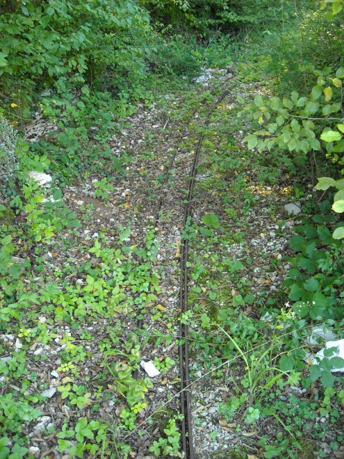 DSCN5879.JPG