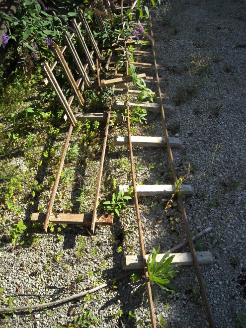 DSCN5883.JPG