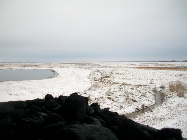 100_2885.JPG