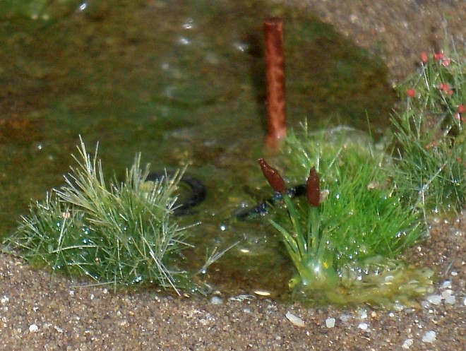 DSC09718.JPG