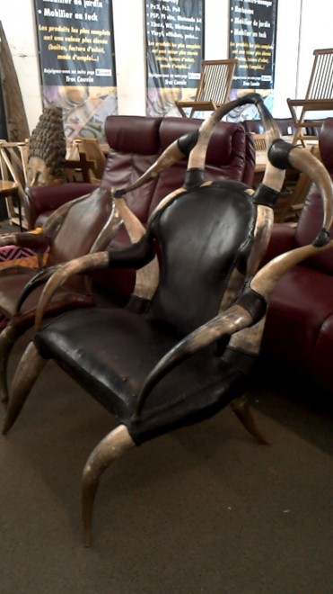 Zebu Fauteuil 1..jpg