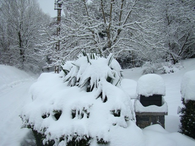 Hiver2010_77forum.jpg