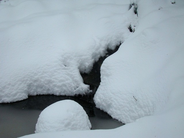 Hiver2010_79forum.jpg