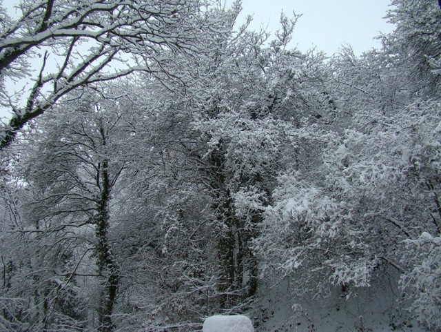 Hiver2010_82forum.jpg
