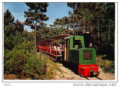 253_001_dep-17-trains-rf7811-ile-d-oleron-saint-trojan-les-bains-petit-tramway-semi-moderne-grand-format-etat.jpg