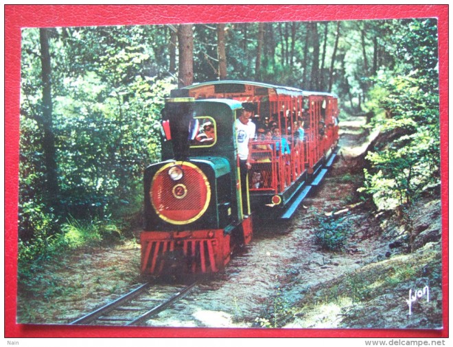 383_001_17-ile-d-oleron-saint-trojan-les-bains-le-petit-train-dans-la-foret-de-pins.jpg