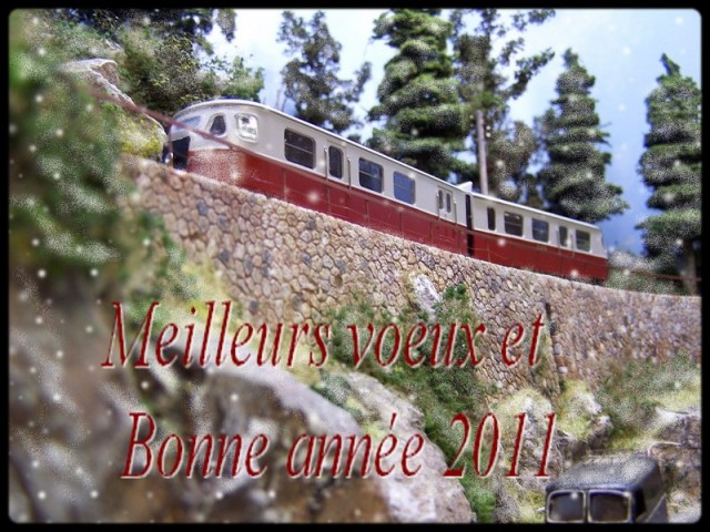 Voeux 2011.jpg