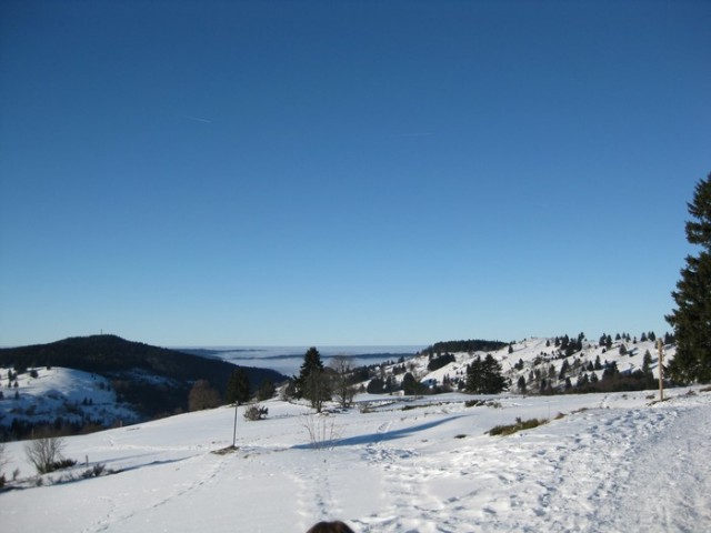 vosges 02.jpg