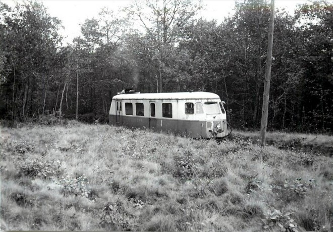 8b dans les bois netre voulx et  chevry en sereine octobre 1953 cliché J Bazin.jpg