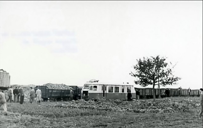 13 chaintreaux cliché j Bazin octobre 1953.jpg