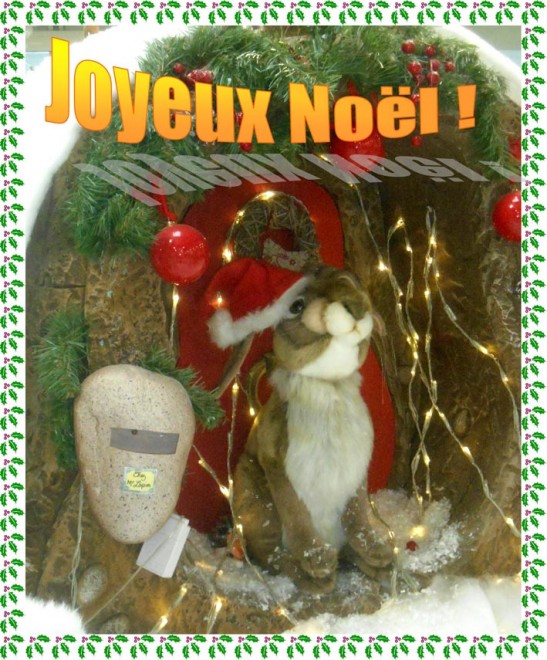 Noël 2017.jpg