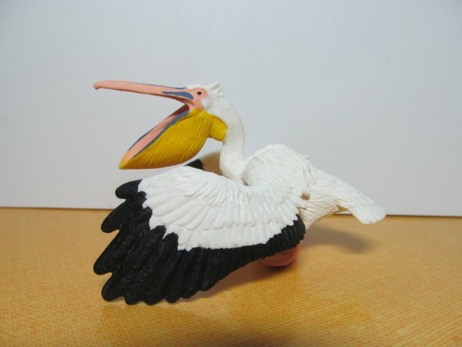 Pelican Schleich 1..jpg