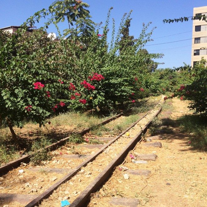 937 - sabeirutaub-photo2-1455871637.jpg