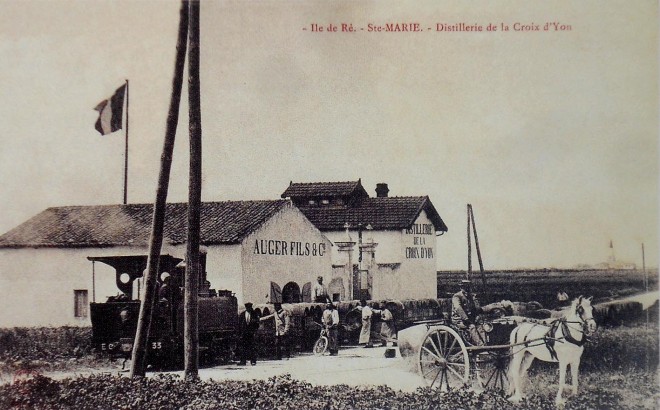 Distillerie Auger.jpg