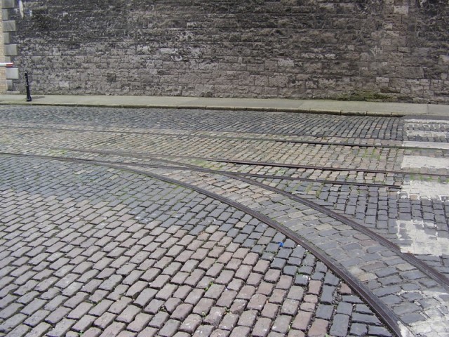 P7300065_pme.jpg