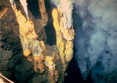 Cheminee-hydrothermale-2.jpg