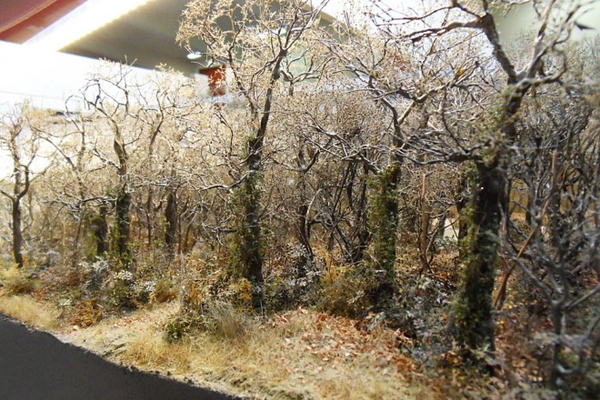 arbres6.JPG