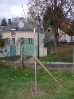 DSC06085