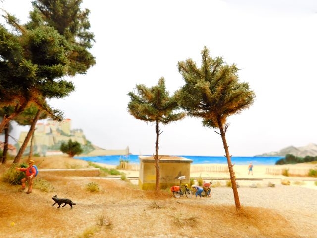 12 Copains du Tordillard CFD Corse Ligne Balagne Calvi Plage