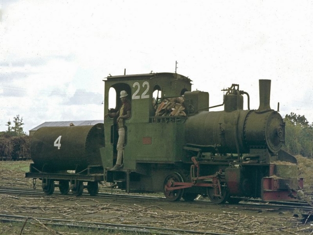 Sena Sugar Estate 22 at Marromeu. Henschel 0-4-0T. 231438-36 Geoff Cooke FLICKR
