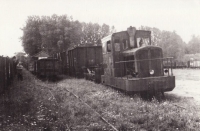 RTDA Asfeld Locotracteur 301 (RTDA) Train de Trucks Porteurs à Asfeld 04.08.1959 Photo Mozaive 01