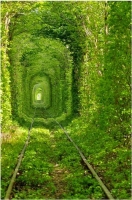 tunnel