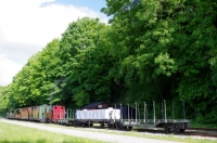 04 APPEVA 24.05.15 CAPPY Manoeuvres (Cappy Gare)