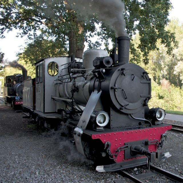 1 APPEVA Portraits de Locomotives Vulcain