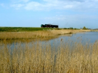 CFBS 09.04.10 Train (3)