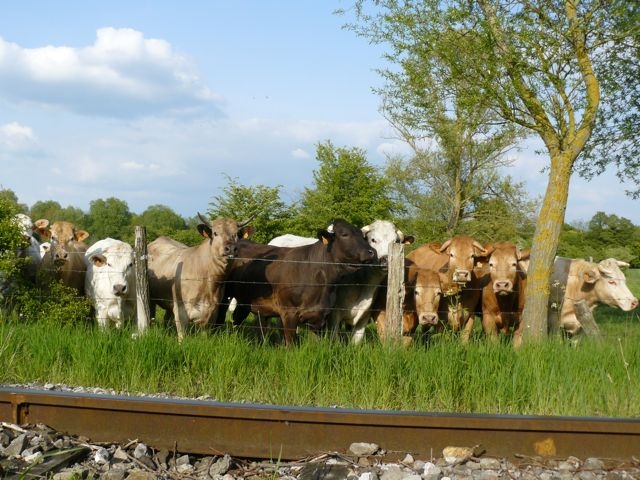 sous le regard des spotters