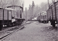 CFD Vivarais Lamastre (3) Trafique de Bois (un peu avant la fermeture) - AGB 1966 FLICKR
