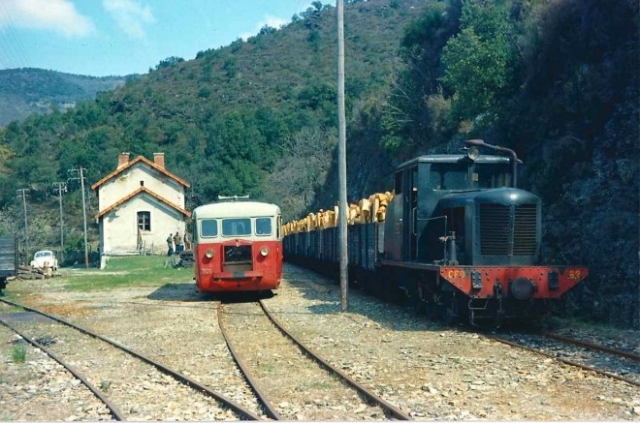 CFD Lozère Saint-Hilaire de Lavit (04) Tracteur 62 Train Bois Croisement De Dion n°201 22 Avril 1965 Photo JL Rochaix
