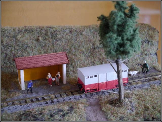 Halte