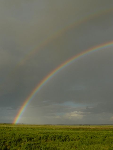 08 Arc en Ciel sur la Baie
